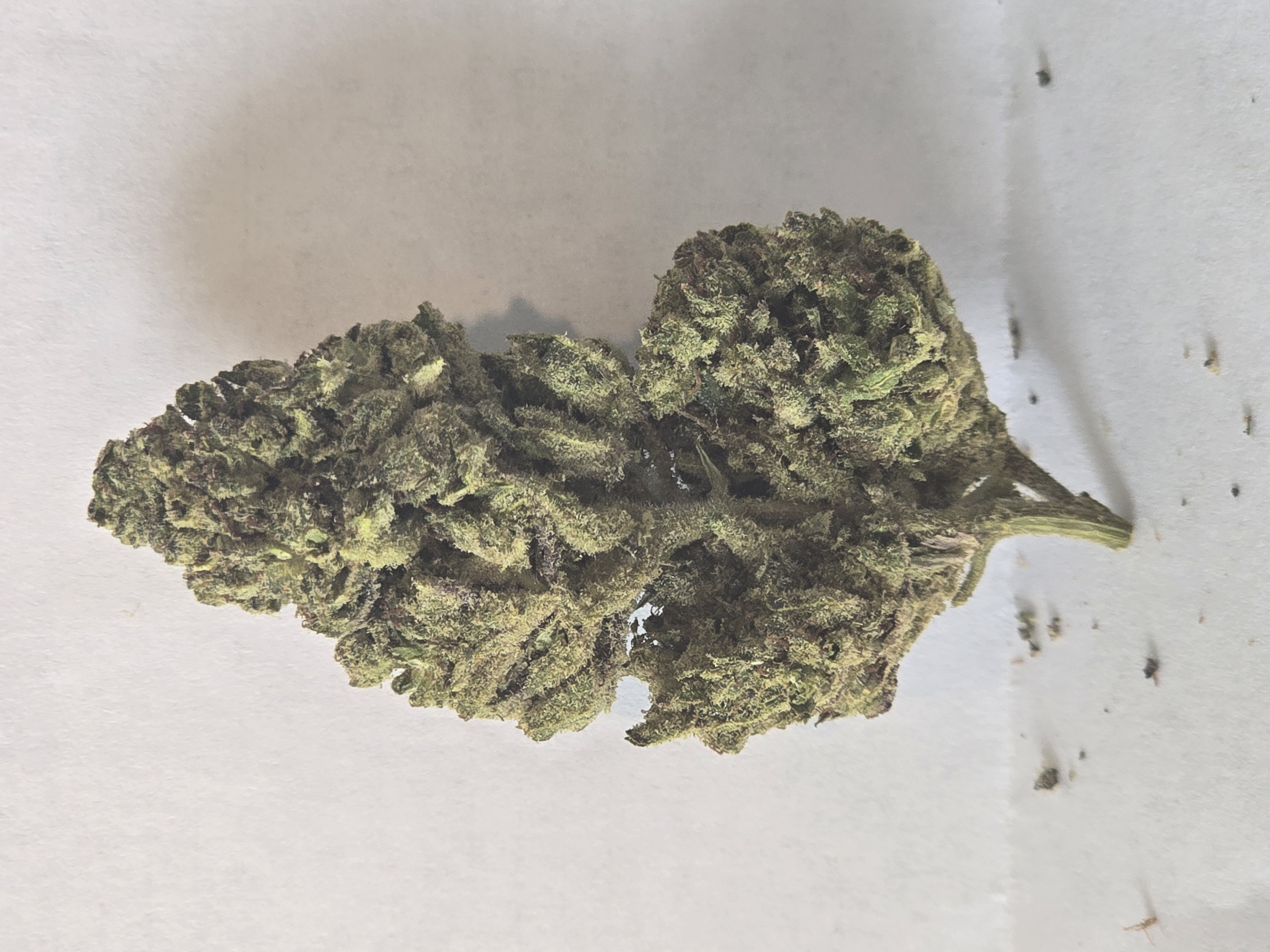 Donkey Butter (H) 3.5g