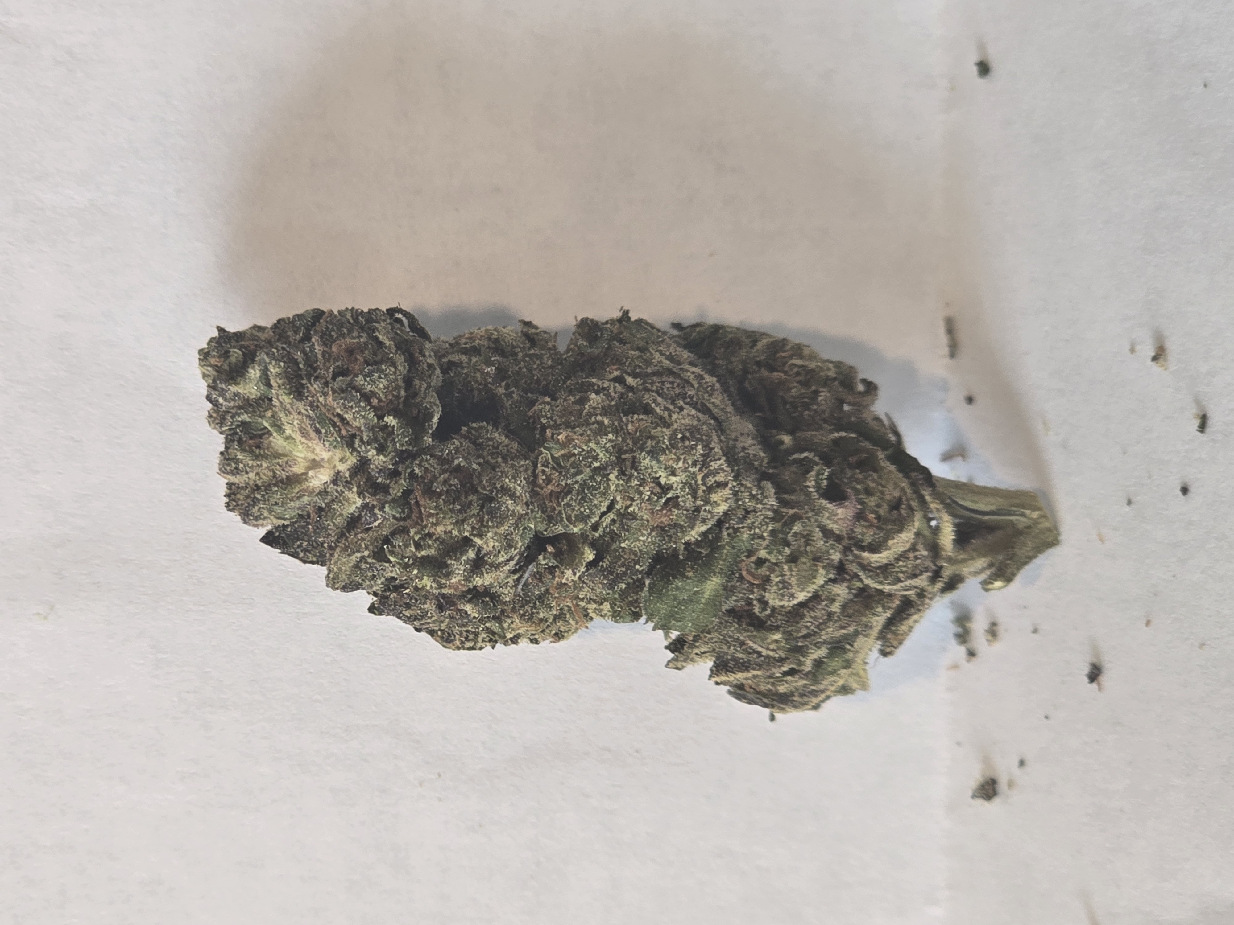 Rainbow Sherbert (H) 3.5g