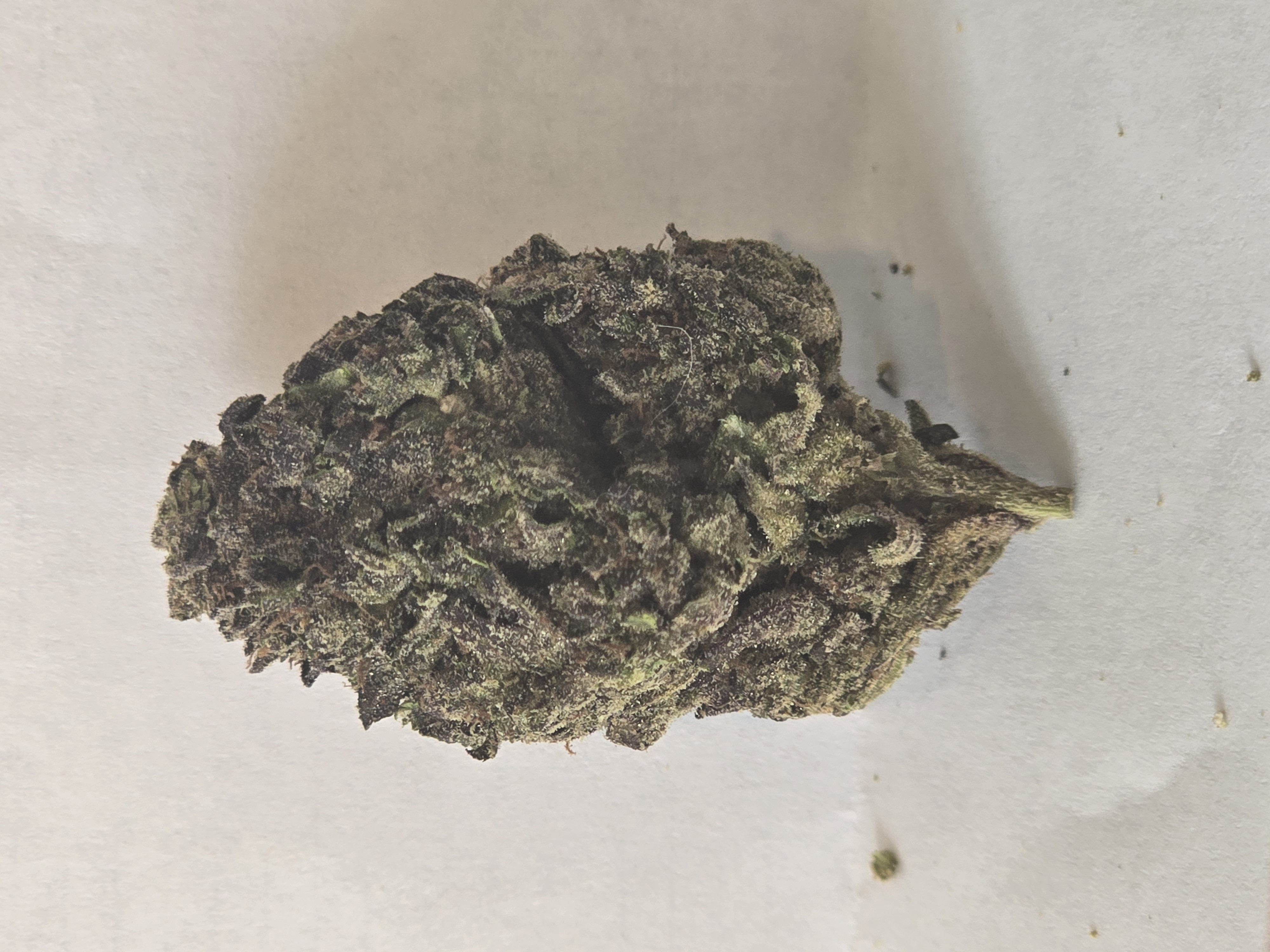 Gelato Cake (H) 3.5g