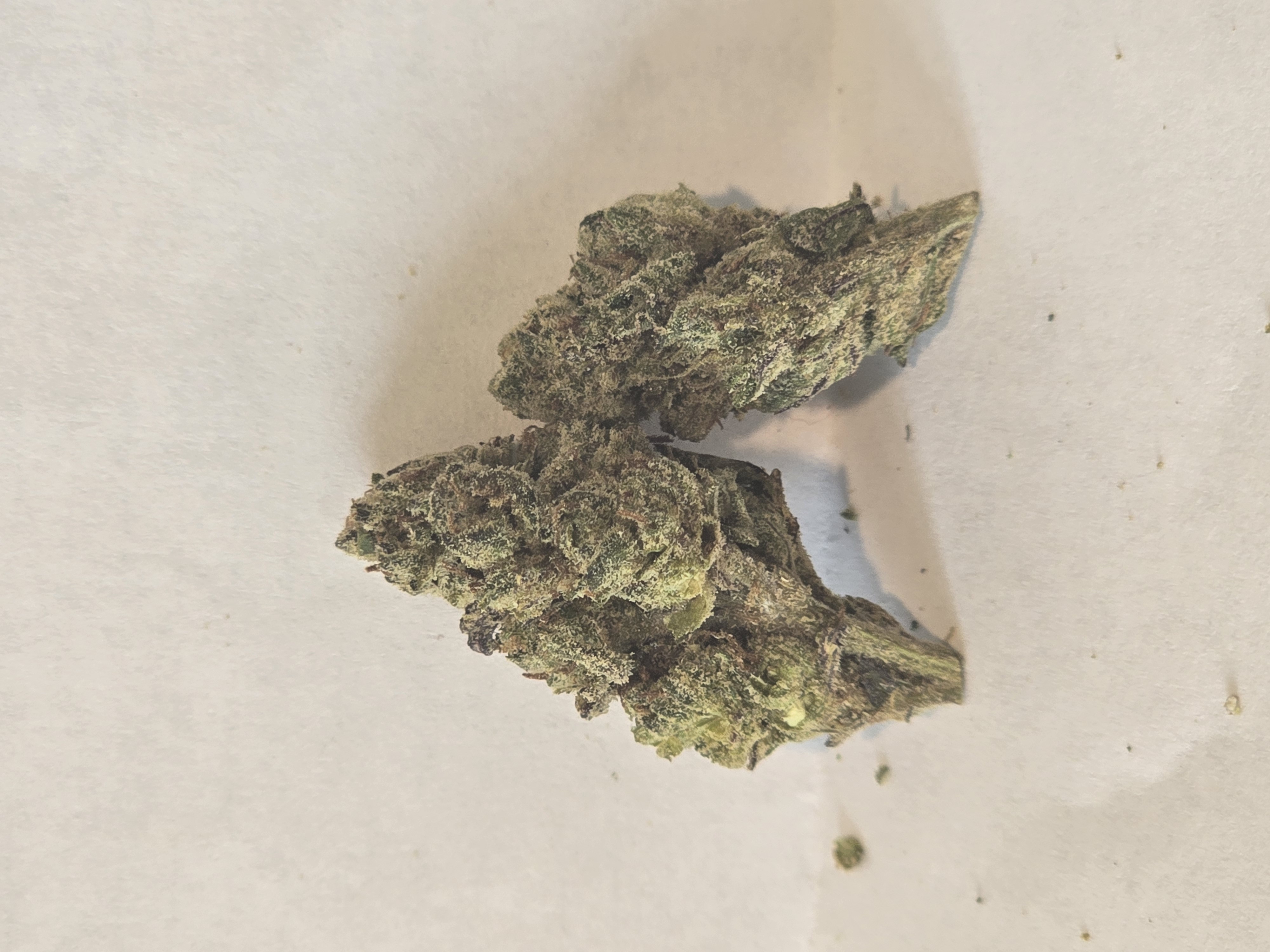 Bolo Runtz (H) 3.5g