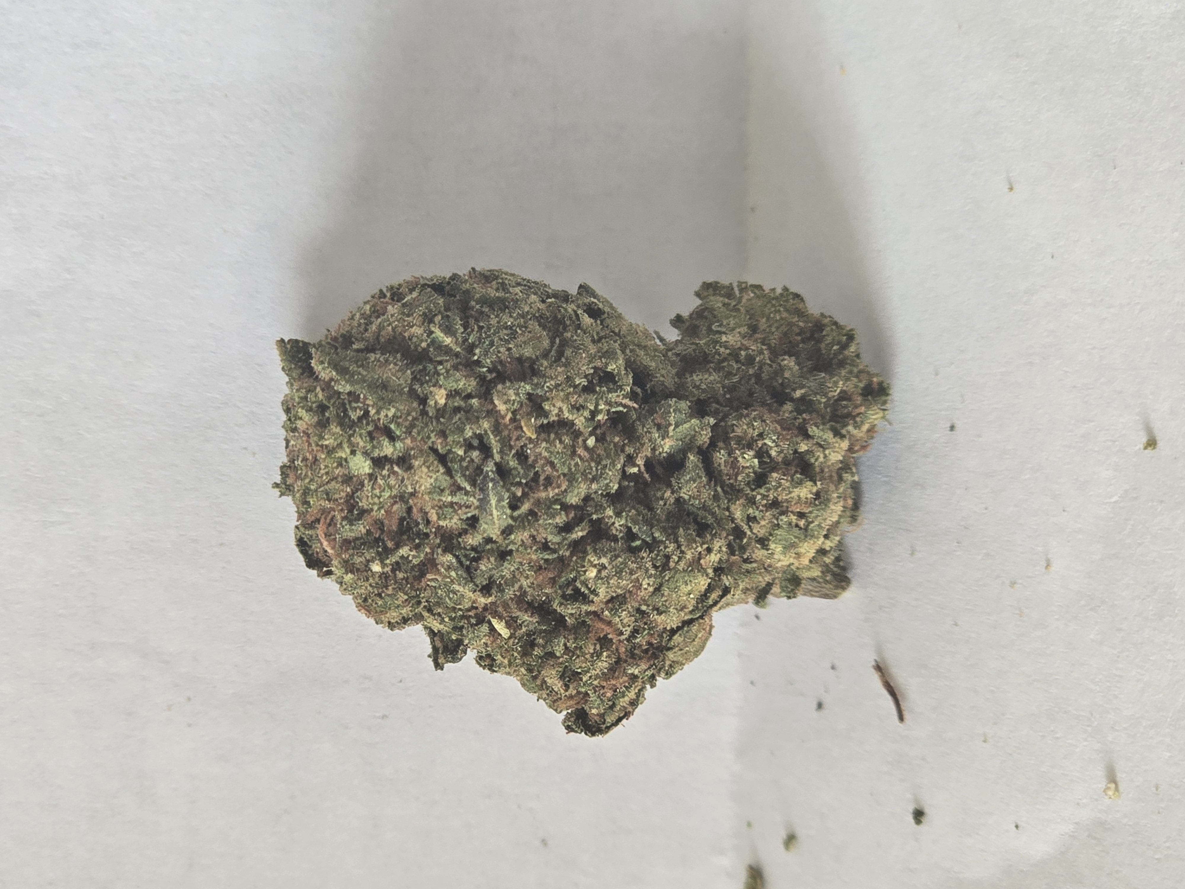 Clementine (H) 3.5g